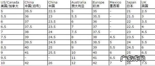 255是多大码的鞋