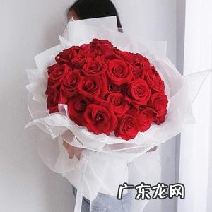 33朵玫瑰代表什么