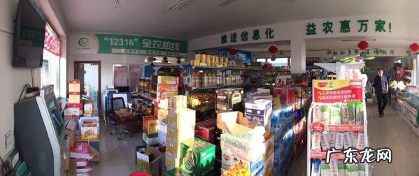 50个适合乡镇做的生意