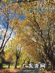 5月份是什么季节