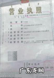 一个人可以注册几个营业执照