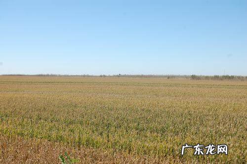 一亩地等于多少米乘多少米