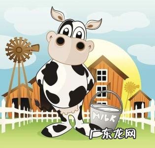 一只奶牛多少钱