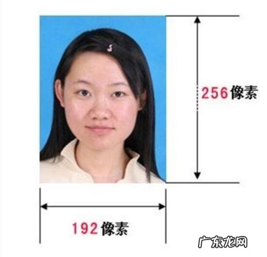 一寸证件照尺寸