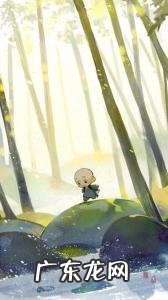 一禅小和尚100集语录