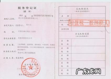 一般纳税人证明图片