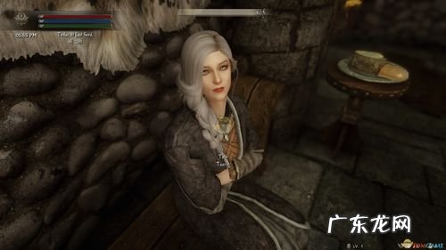 上古卷轴5十大强力随从