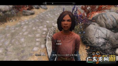 上古卷轴5重制版代码