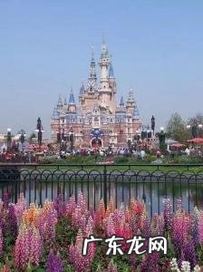 上海迪士尼住一晚多少钱