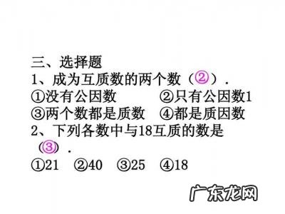 两个数互质是什么意思