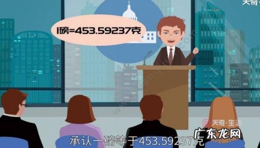 两磅等于多少克