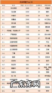 中国富豪榜前100名