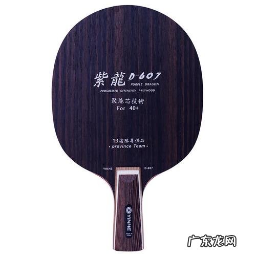 中国十大乒乓球拍排名