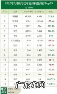 中国电动车排行榜前十名