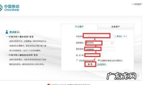 中国移动网上营业厅通话详单查询