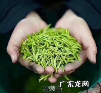 中国绿茶十大名茶排名