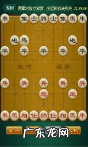 中国象棋软件