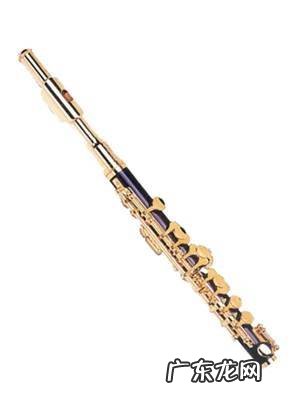 乐器难度排行榜