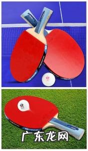 乒乓球拍胶皮