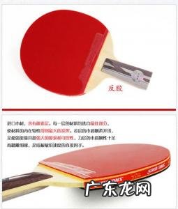 乒乓球胶皮十大排名