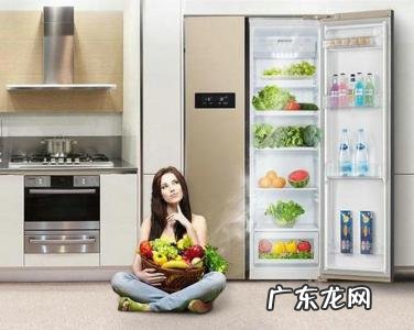 什么牌子冰箱质量好又省电