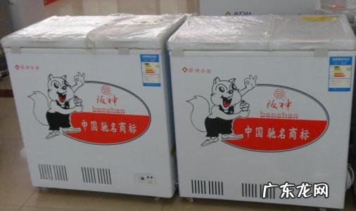 什么牌子的冰柜好