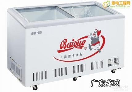 什么牌子的冰柜好