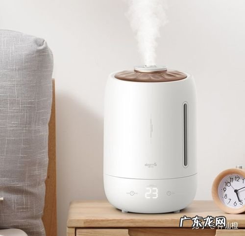什么牌子的加湿器好