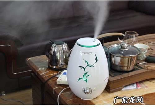 什么牌子的加湿器好