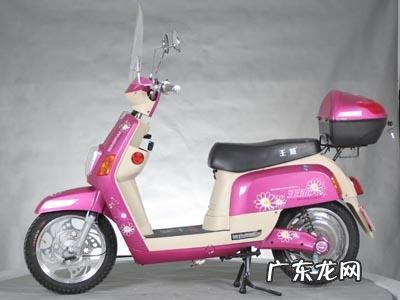 什么电动车质量最好