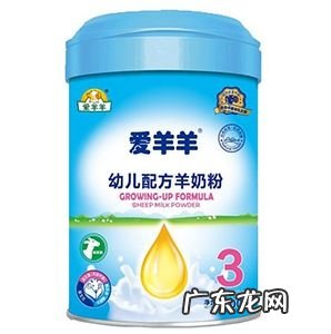 什么牌子羊奶粉好