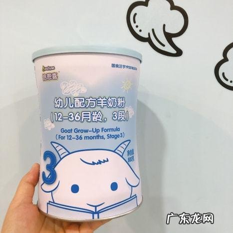 什么牌子羊奶粉好