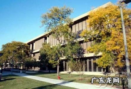 伊利诺伊理工大学