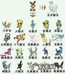 伊布进化二十种图片