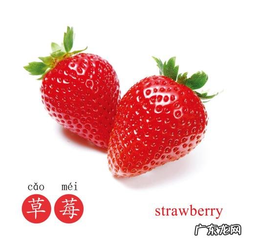 会唱歌的水果是什么软件