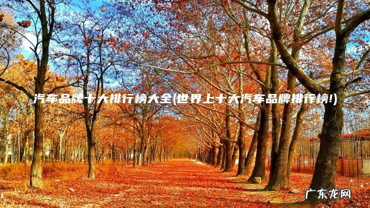 汽车品牌十大排行榜大全(世界上十大汽车品牌排行榜!)