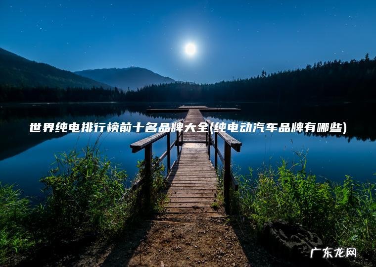 世界纯电排行榜前十名品牌大全(纯电动汽车品牌有哪些)