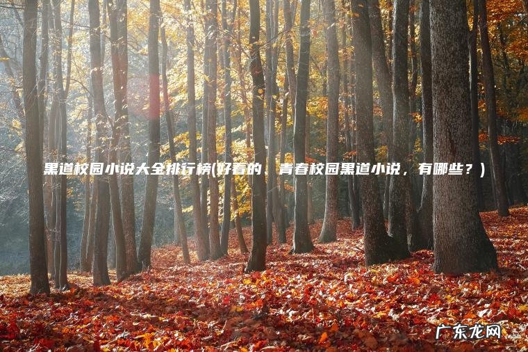 黑道校园小说大全排行榜(好看的、青春校园黑道小说，有哪些？)