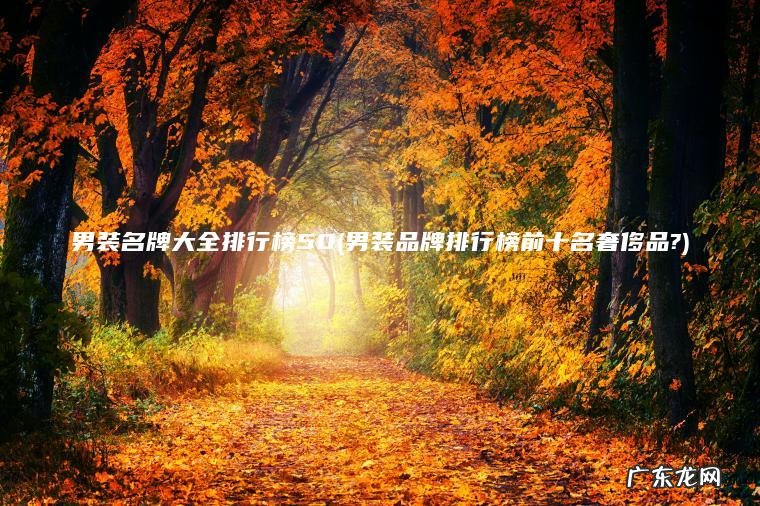 男装名牌大全排行榜50(男装品牌排行榜前十名奢侈品?)