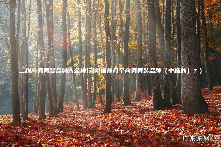二线商务男装品牌大全排行榜(推荐几个商务男装品牌（中档的）？)