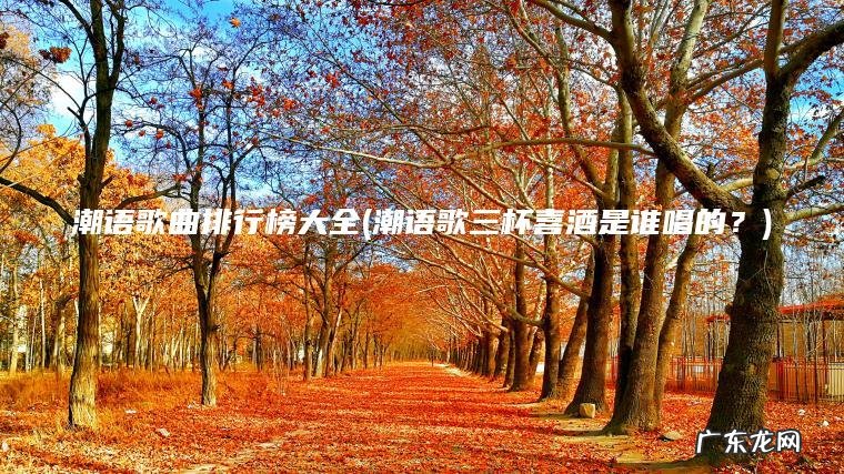 潮语歌曲排行榜大全(潮语歌三杯喜酒是谁唱的？)