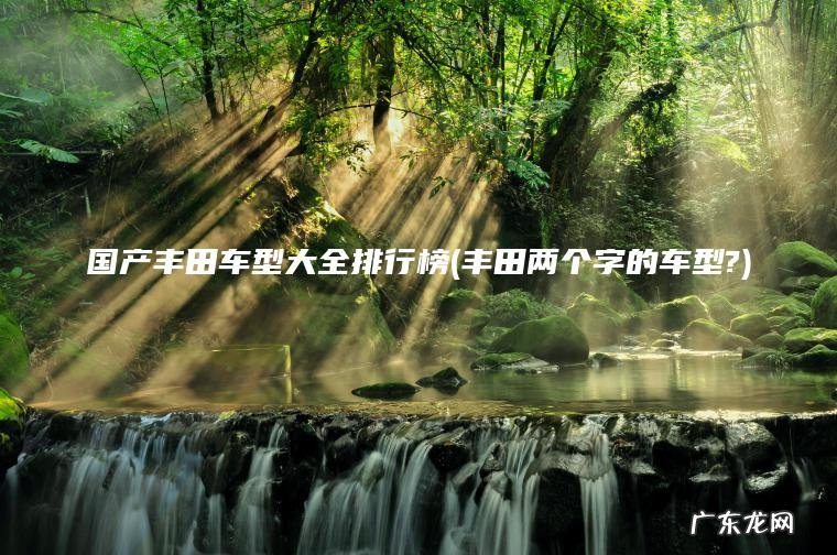 国产丰田车型大全排行榜(丰田两个字的车型?)