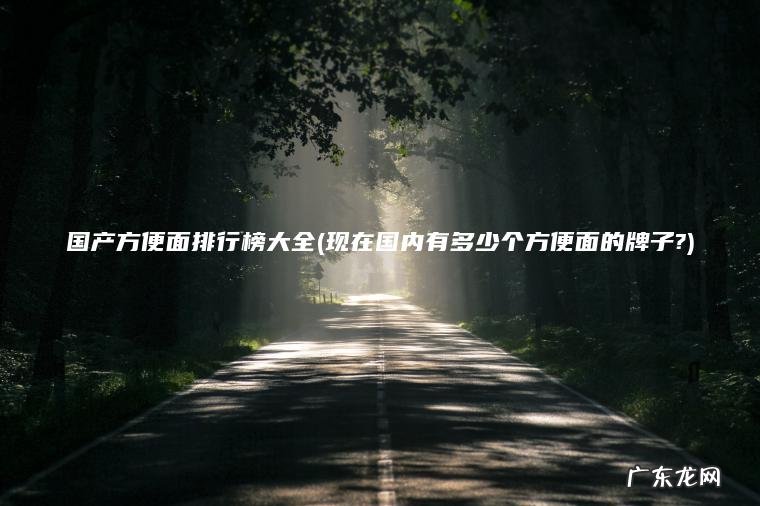 国产方便面排行榜大全(现在国内有多少个方便面的牌子?)