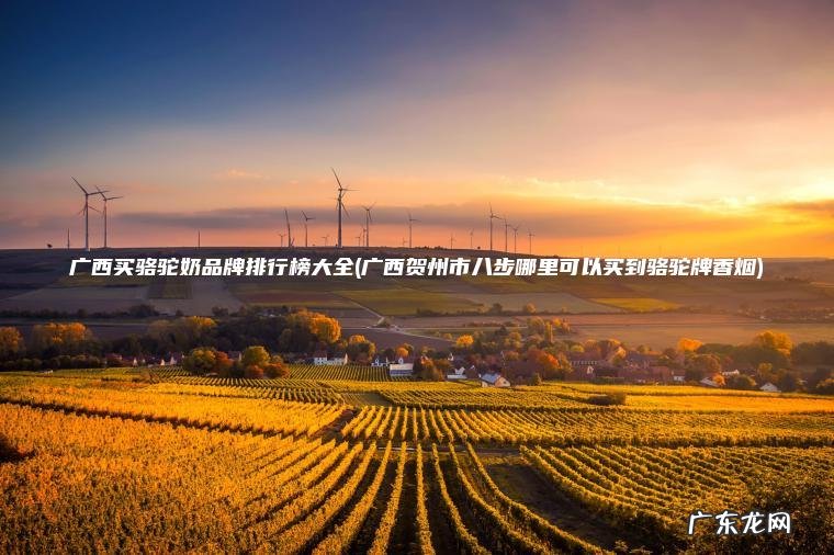 广西买骆驼奶品牌排行榜大全(广西贺州市八步哪里可以买到骆驼牌香烟)