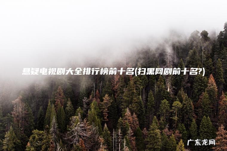 悬疑电视剧大全排行榜前十名(扫黑网剧前十名?)