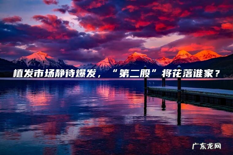 植发市场静待爆发 ， “第二股”将花落谁家？