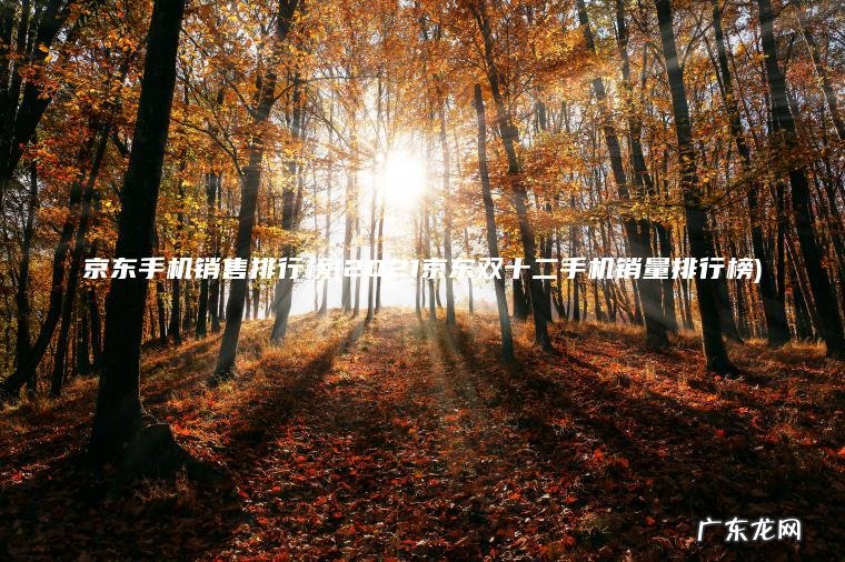 京东手机销售排行榜(2021京东双十二手机销量排行榜)