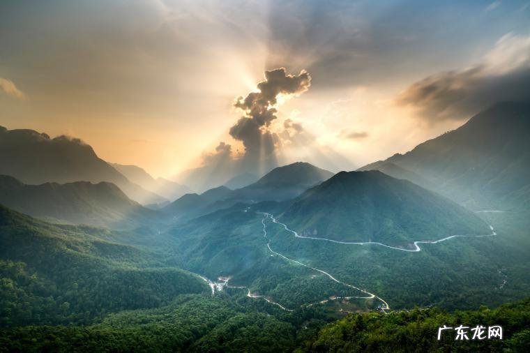 2021年电视销售排行榜2021(2021年电视机销量排行榜前十名)