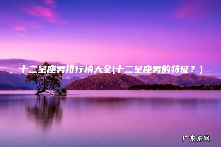 十二星座男排行榜大全(十二星座男的特征？)