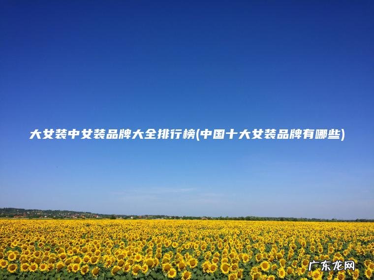 大女装中女装品牌大全排行榜(中国十大女装品牌有哪些)